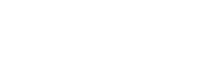 logo Aliveg Consulting